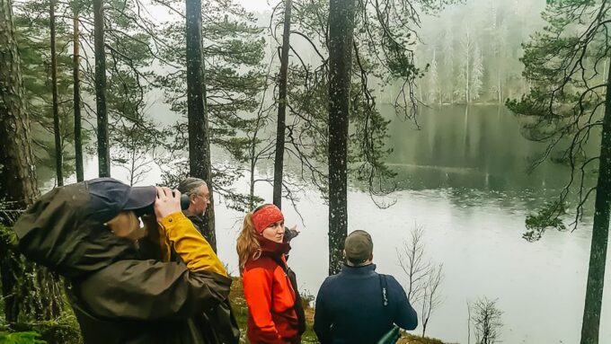 From Stockholm: Wildlife Safari With Campfire Dinner - Customer Reviews and Ratings