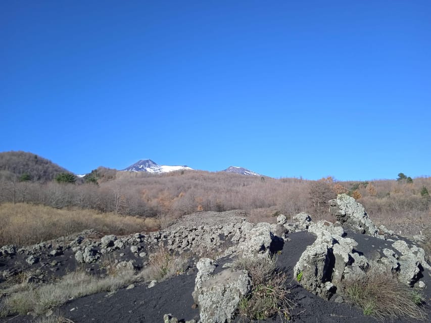 From Taormina: Etna Private Guided Tour - What to Expect on the Tour