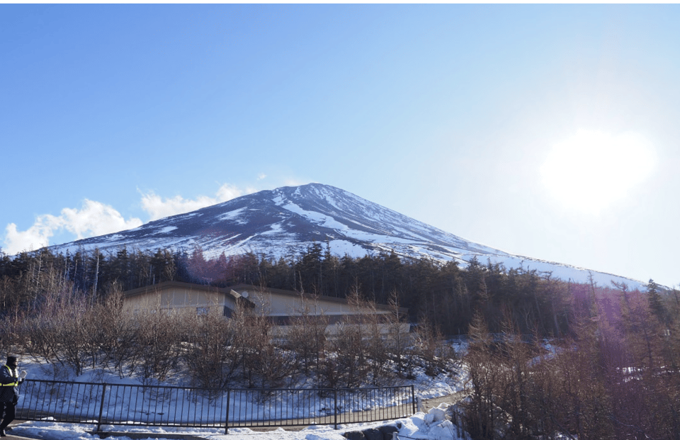 From Tokoyo - Mount FUJI Classic Highlight Joiner Day Tour - Meeting Point and Customer Feedback