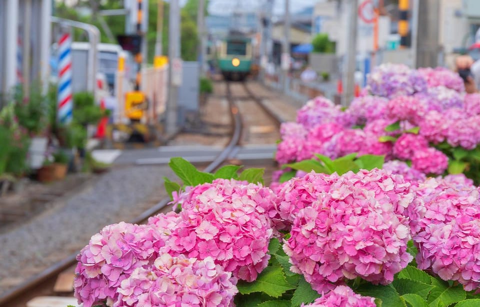 From Tokyo: Kamakura Buddha, Enoshima,Shrine,Enoden Day Trip - Tips for Travelers