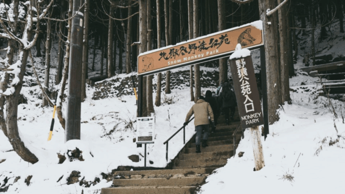From Tokyo Memorabele Snow Monkey Park & Zenkoji Temple Tour - Frequently Asked Questions