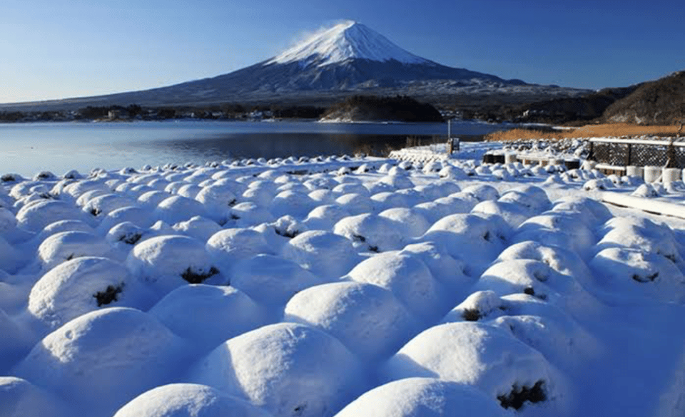 From Tokyo: Mount Fuji Full Day Private Tours English Driver - Restrictions and Important Information