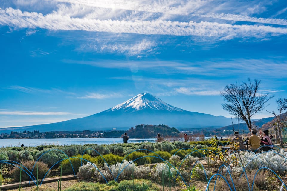 From Tokyo: Mount Fuji Highlight Photo Spots Full-Day Tour - Tips for Travelers