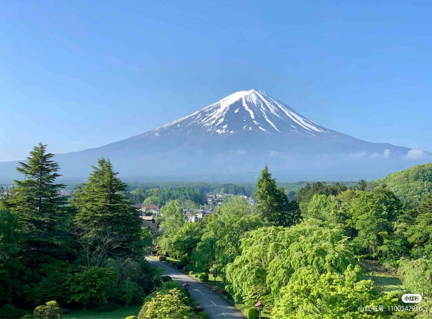 From Tokyo: Mt Fuji, 5th Station, & Hot Springs Day Trip - Booking and Cancellation Policy