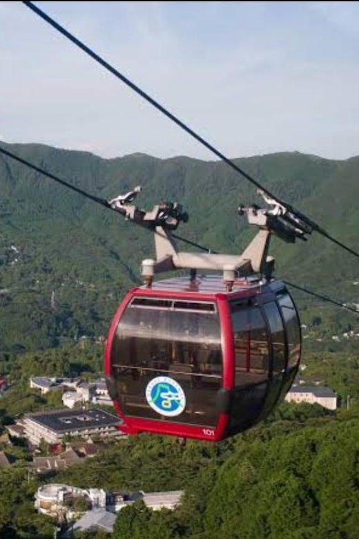 From Tokyo: Mt Fuji and Hakone Ropeway Private Tour - Scenic Attractions