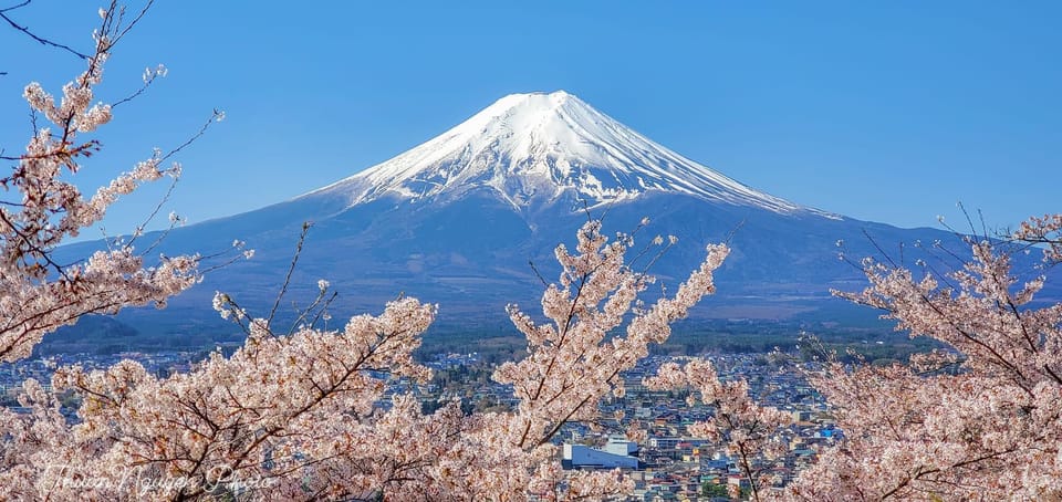 From Tokyo: Mt Fuji and Lake Kawaguchiko Private Day Trip - Best Time to Visit