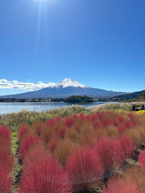 From Tokyo: Mt. Fuji Private Car Day Trip With Guide - Travel Tips