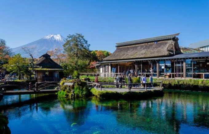 From Tokyo : Mt Fuji Private Sightseeing Tour - Recommendations for Travelers