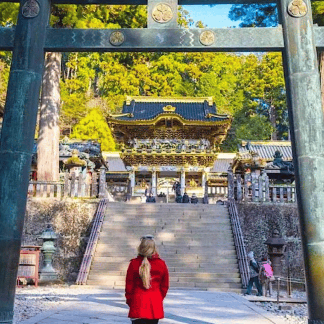 From Tokyo: Nikko Sightseeing Private Day Tour English Guide - Contact Information