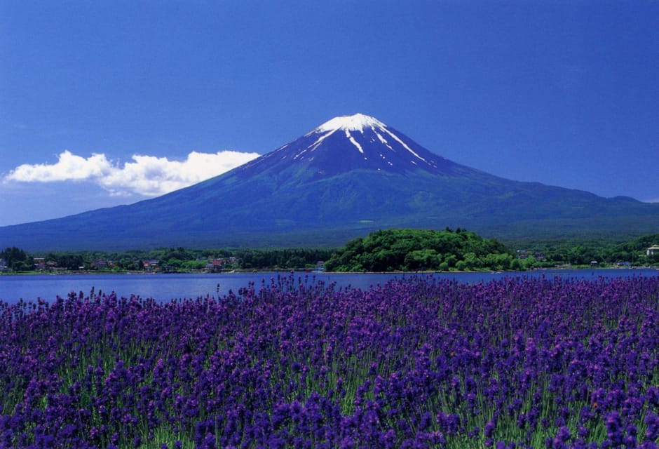 From Tokyo, Yokohama: Mount Fuji Sightseeing Trip - Important Travel Notes