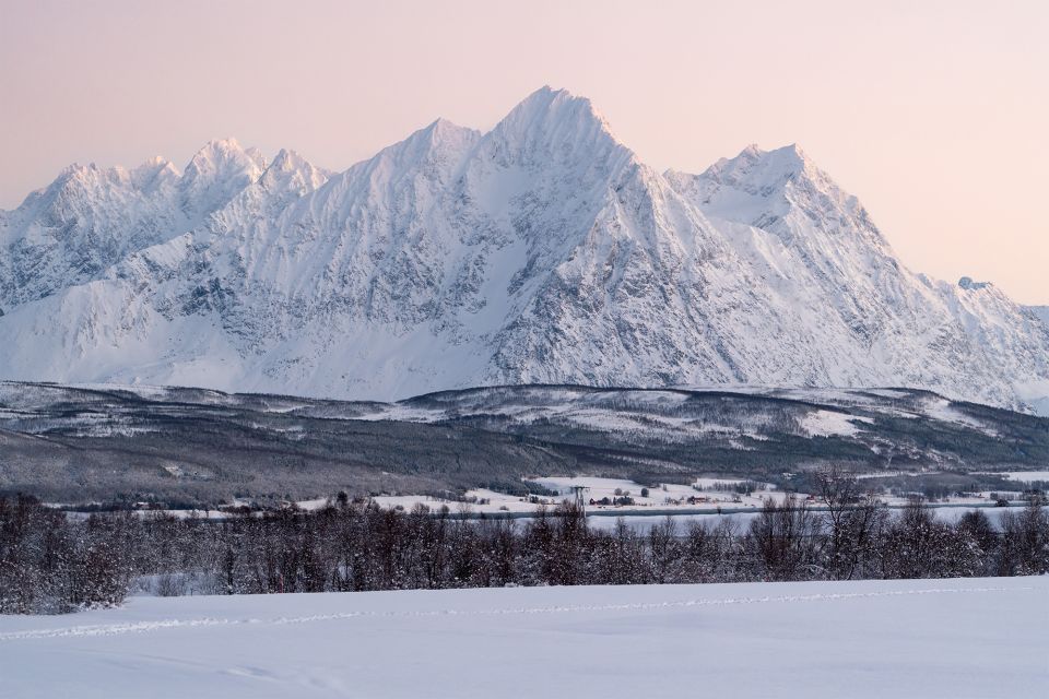 From Tromsø: Fun and Easy Dog Sledding Adventure - Preparation Tips