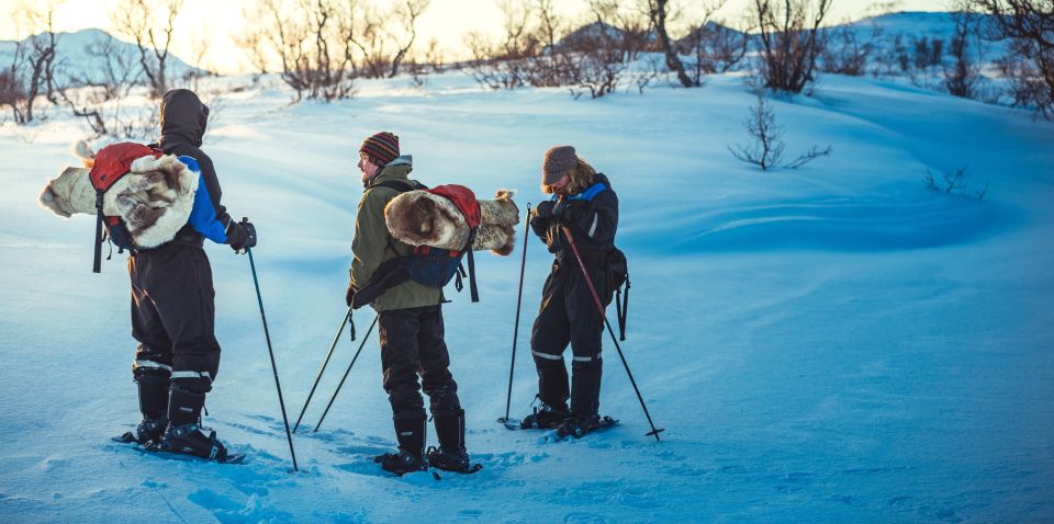 From Tromsø: Guided Husky Snowshoe Hike and Husky Camp Visit - Customer Reviews and Ratings