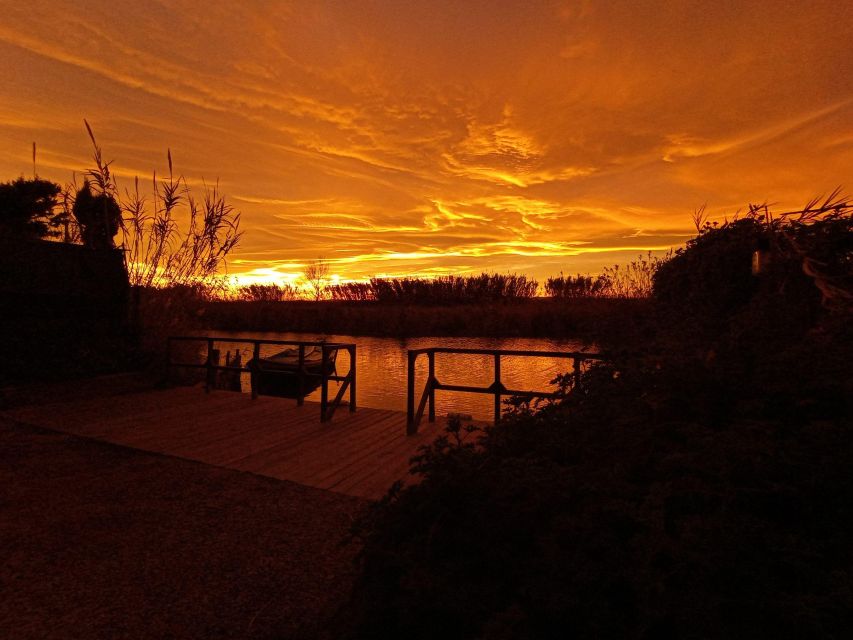 From Valencia: Albufera Natural Park With Sunset Boat Tour - Customer Reviews