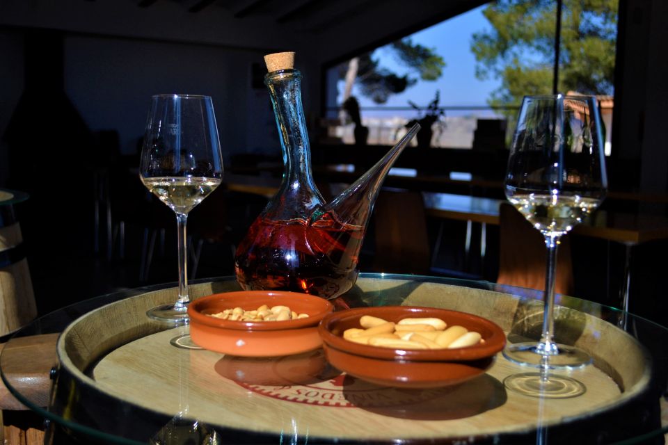 From Valencia: Requena Wine Tour With Tastings - Exploring Murviedro Bodega Histórica