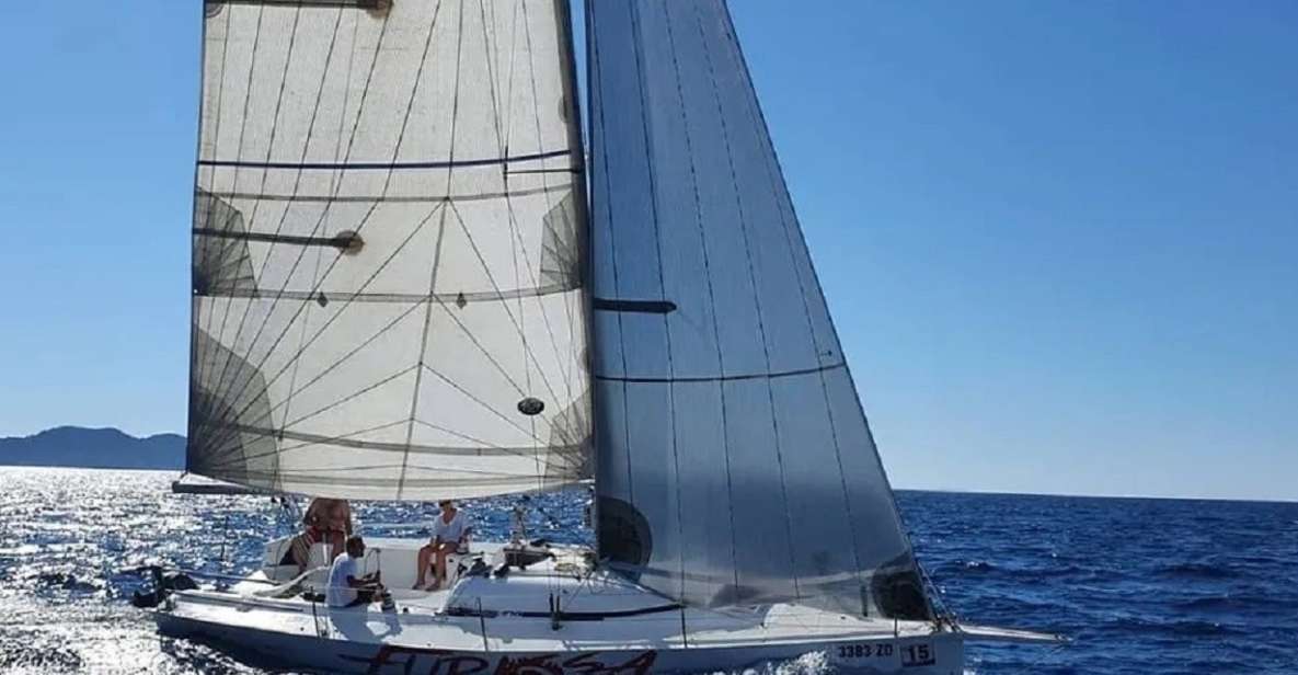 From Zadar: Half-Day Sailing Tour - Activities and Amenities