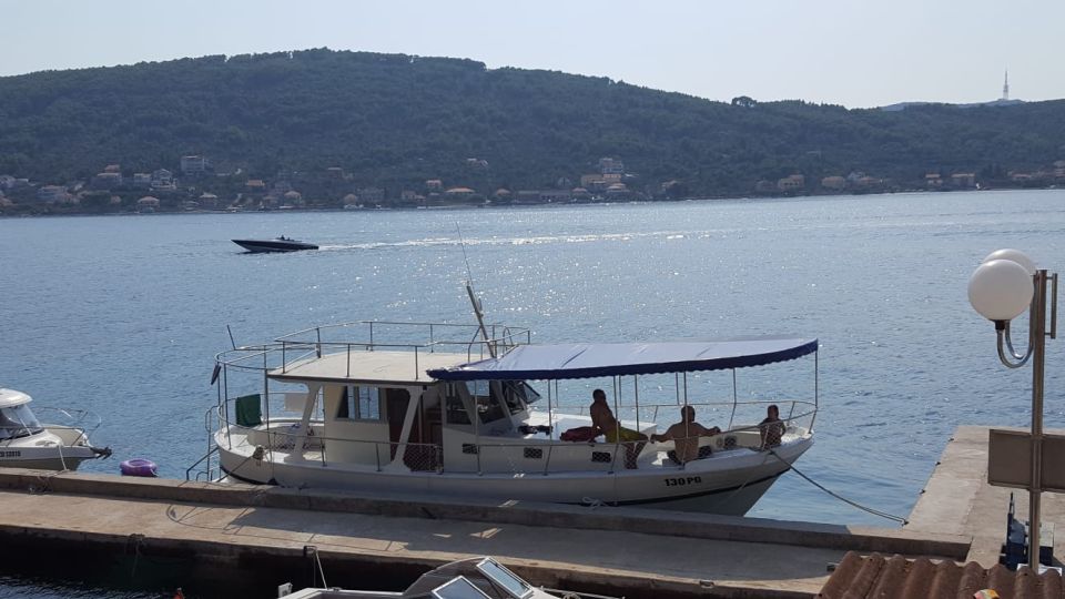 From Zadar: Private Half-Day Swimming Trip by Boat - Important Information