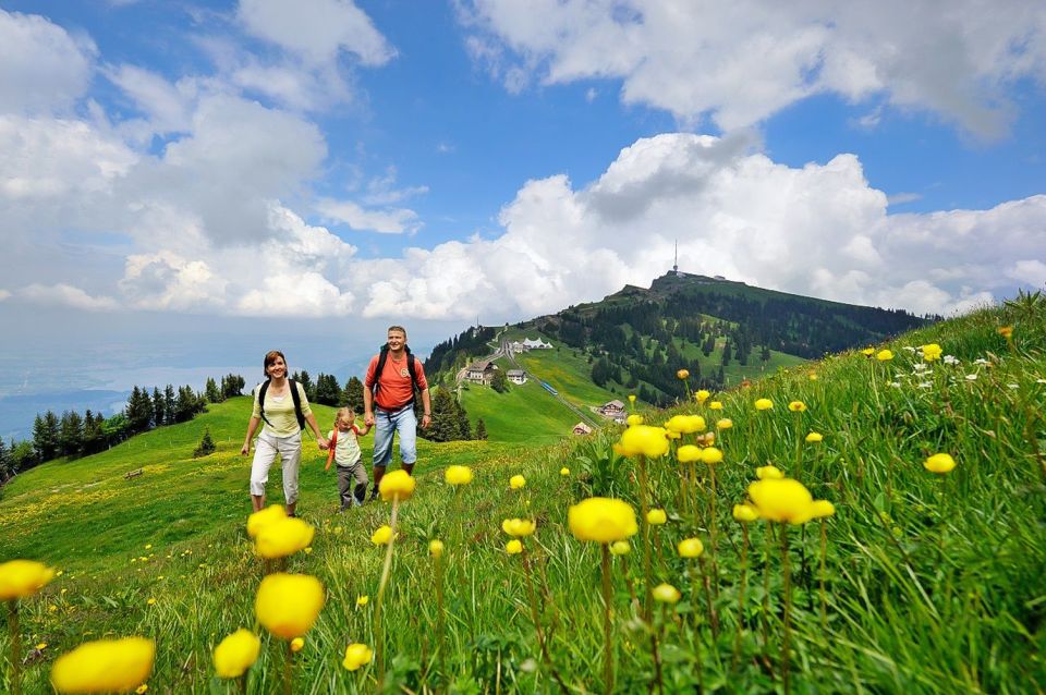 From Zürich: Day Trip to Rigi and Lake Lucerne - Customer Reviews and Ratings