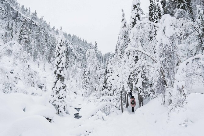 Frozen Waterfalls in Korouoma Canyon Adventure - Participant Experiences