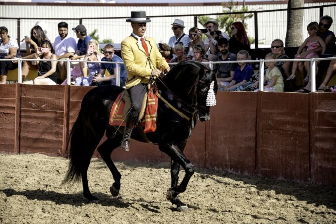 Fuengirola: Spanish Horse Show With Optional Dinner/Flamenco - Customer Ratings and Feedback