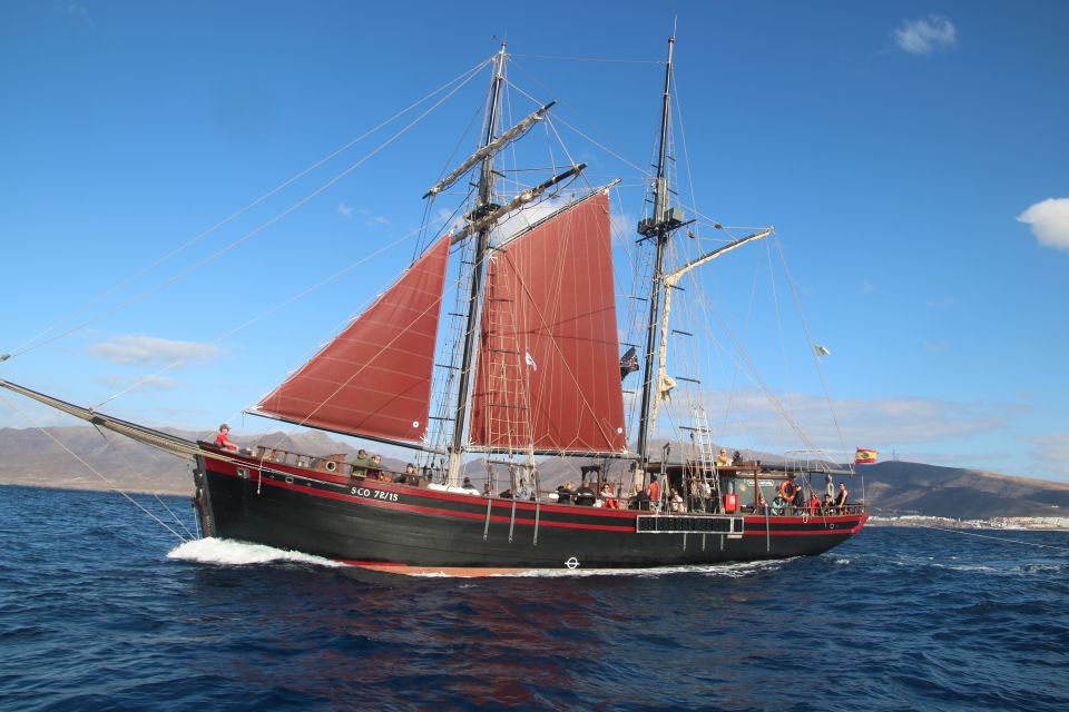 Fuerteventura: 4-Hour Pirate Sailing Adventure - Participant Information