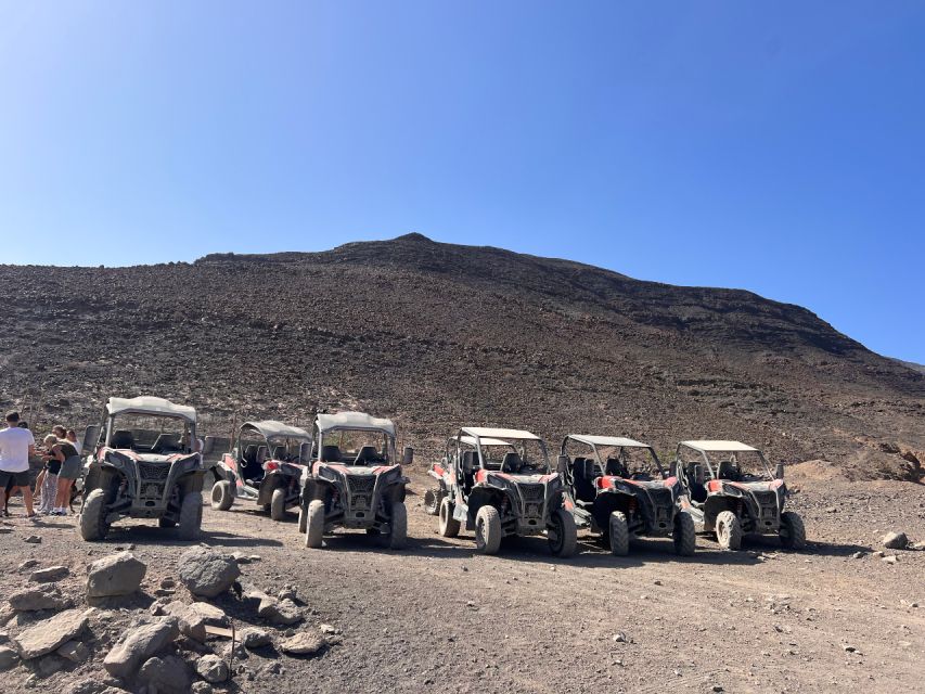 Fuerteventura: Buggy Tour in the South of the Island - Important Requirements