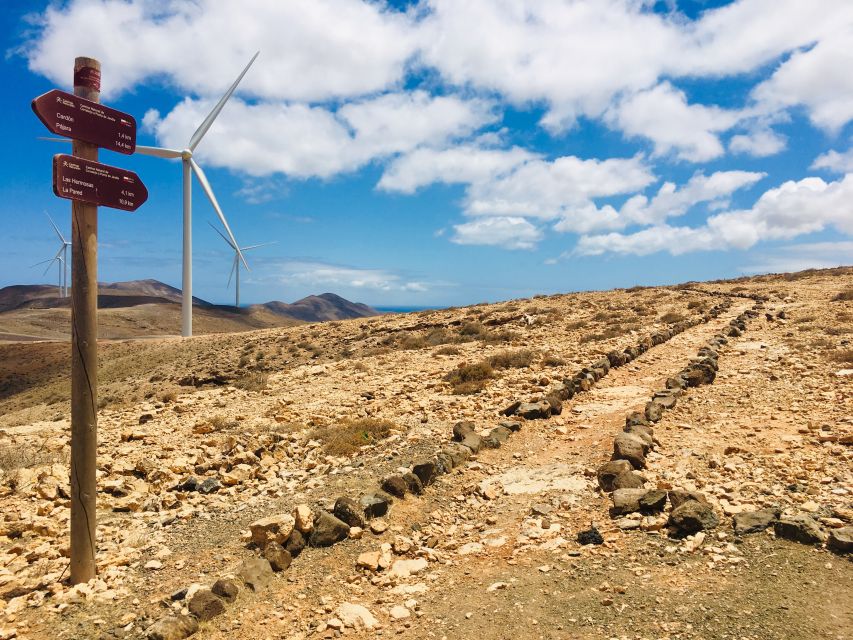 Fuerteventura: Guided Trekking Tour With Island Goats - Tour Languages and Restrictions