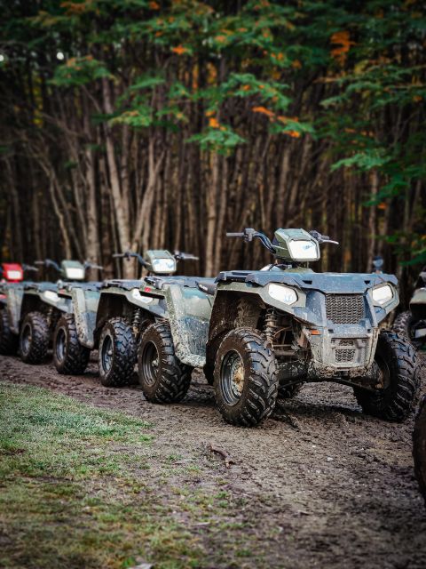 Full Day Adventure in 4x4 & Quads With Lunch - Customer Reviews and Ratings