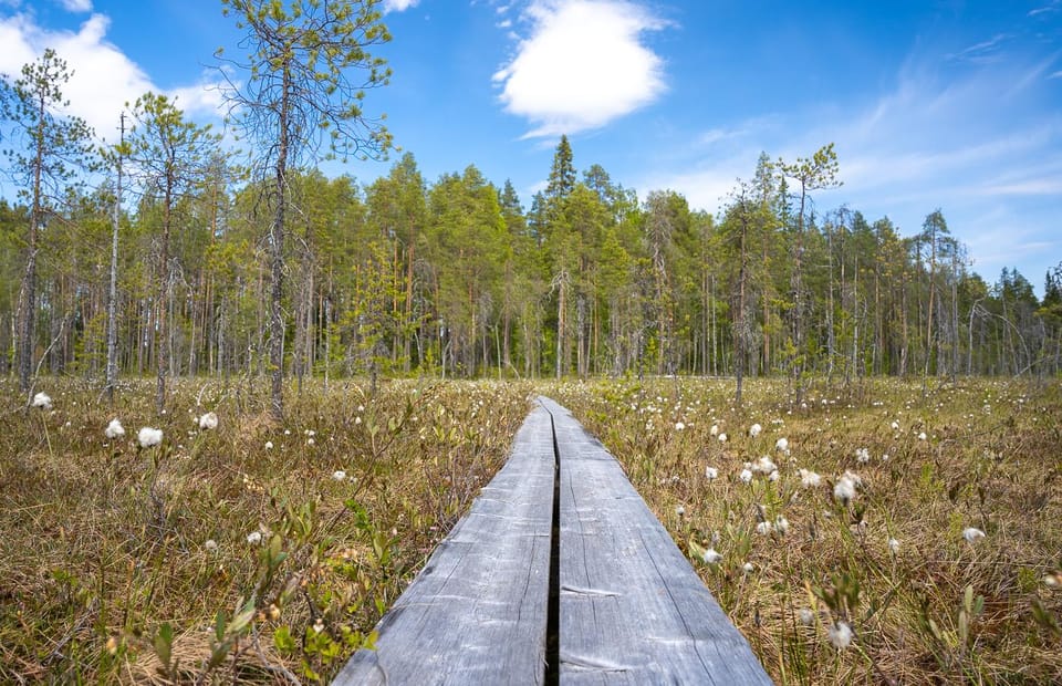 Full Day Hike at Iso-Palonen Nature Reserve - Preparation Tips