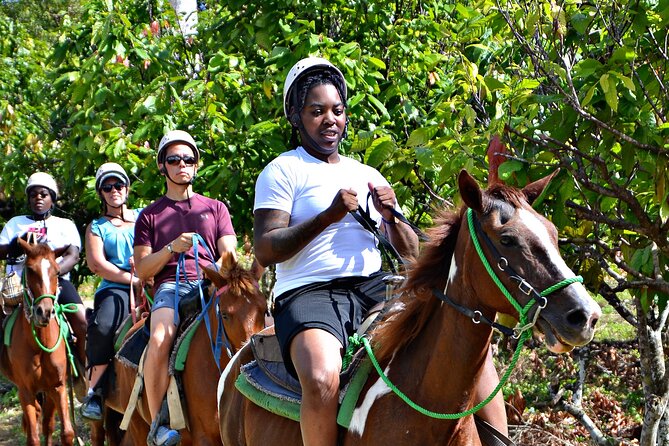 Full-Day La Hacienda Dune Buggy With Zipline & Horseback Activity - Customer Experiences and Reviews