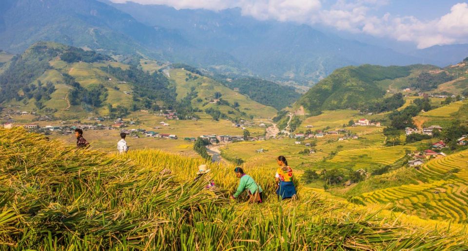 Full Day Tour in Sapa Trekking With Local Guide - Customer Feedback and Ratings