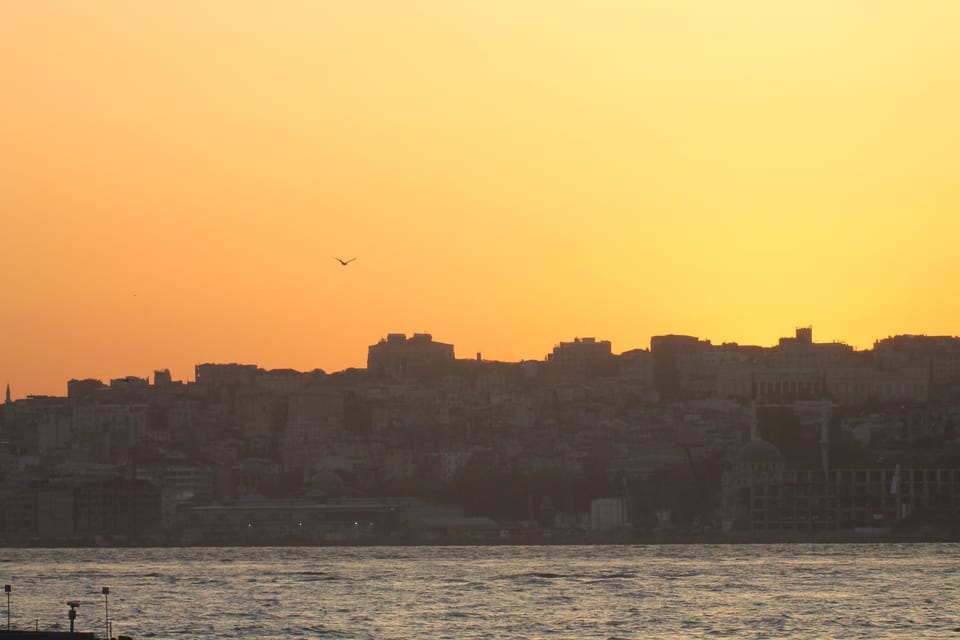 Galata Tower and Maiden Tower Tour - Booking Information