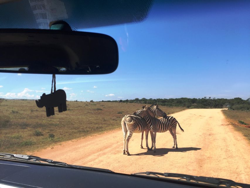 Garden Route and Addo Elephant National Park: 5-Day Safari - Frequently Asked Questions