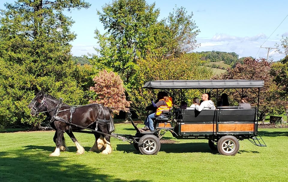 Gettysburg: Horse-Drawn Carriage Tour Countryside & Orchards - Featured Attractions