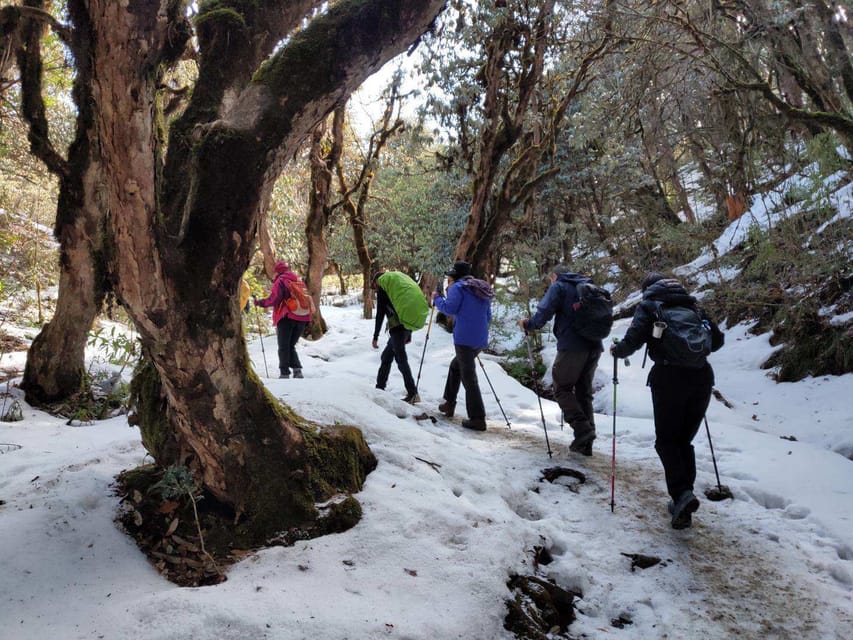 Ghorepani: Poonhill Trek - Trekking Experience