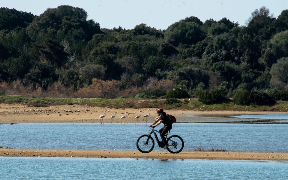 Gialova: Navarino Bay E-Bike Tour With Waterfall Swim - Meeting Point and Directions