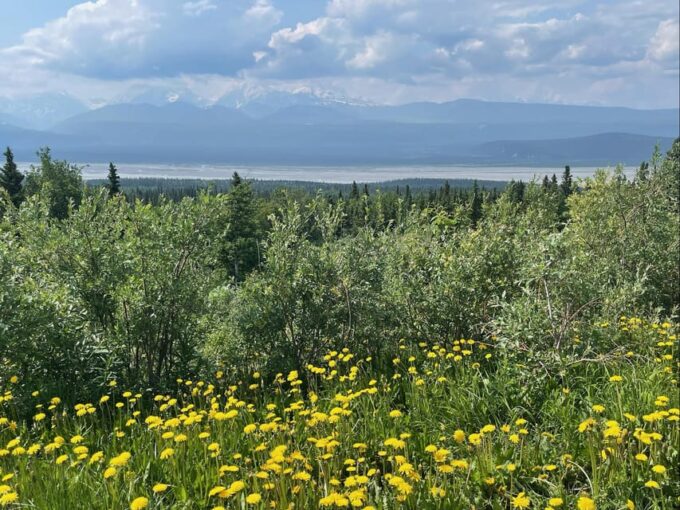 Glacial Lake, Waterfall and Rainforest. Beauty of Turnagain! - Frequently Asked Questions