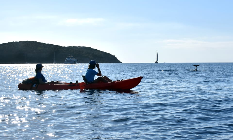 Golfo Aranci: Sunrise Dolphin Kayak Tour With Breakfast - Cancellation Policy