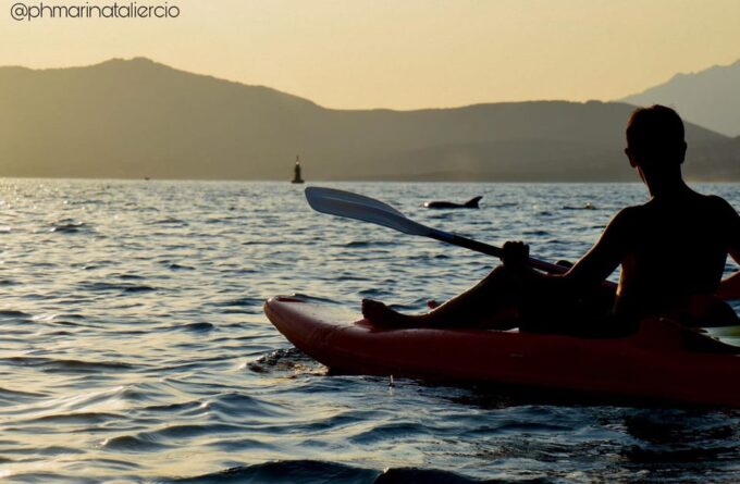 Golfo Aranci: Sunset Dolphin Kayak Tour With Aperitif - Kayaking Adventure