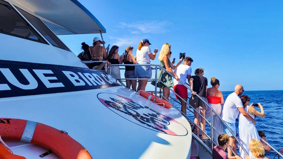 Gran Canaria: Catamaran Dolphin Watch Cruise With Snorkeling - Meeting Point and Pickup