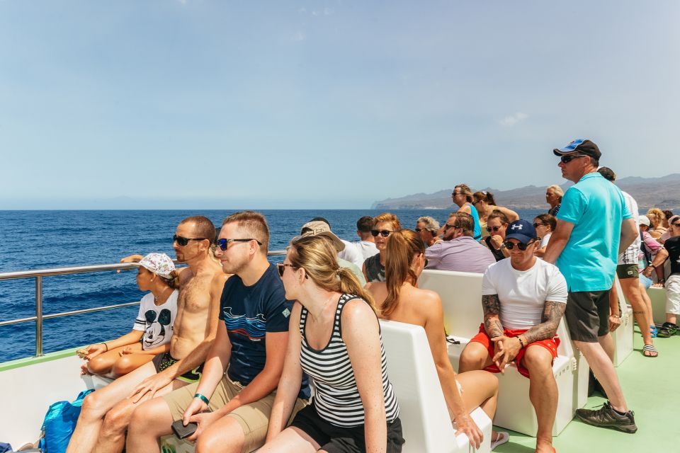 Gran Canaria: Dolphin and Whale Watching Cruise - Meeting Location