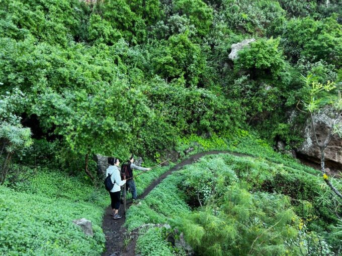 Gran Canaria: Green Witchcraft in the Magic Island - Exploring Azuaje Ravine
