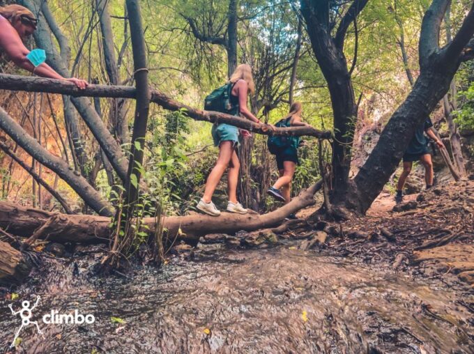 Gran Canaria: Guided Day Tour to Rainforest With Tasting - Included and Excluded Amenities