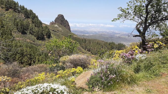 Gran Canaria: Highlights Tour Roque Nublo by 2 Native Guides - Guided Hiking Tour