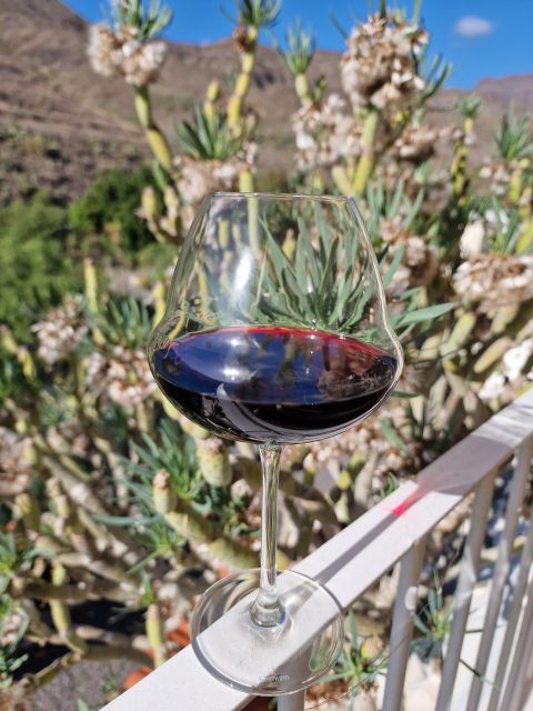 Gran Canaria: Tasting Wine & Local Cheese - Transportation and Facilities