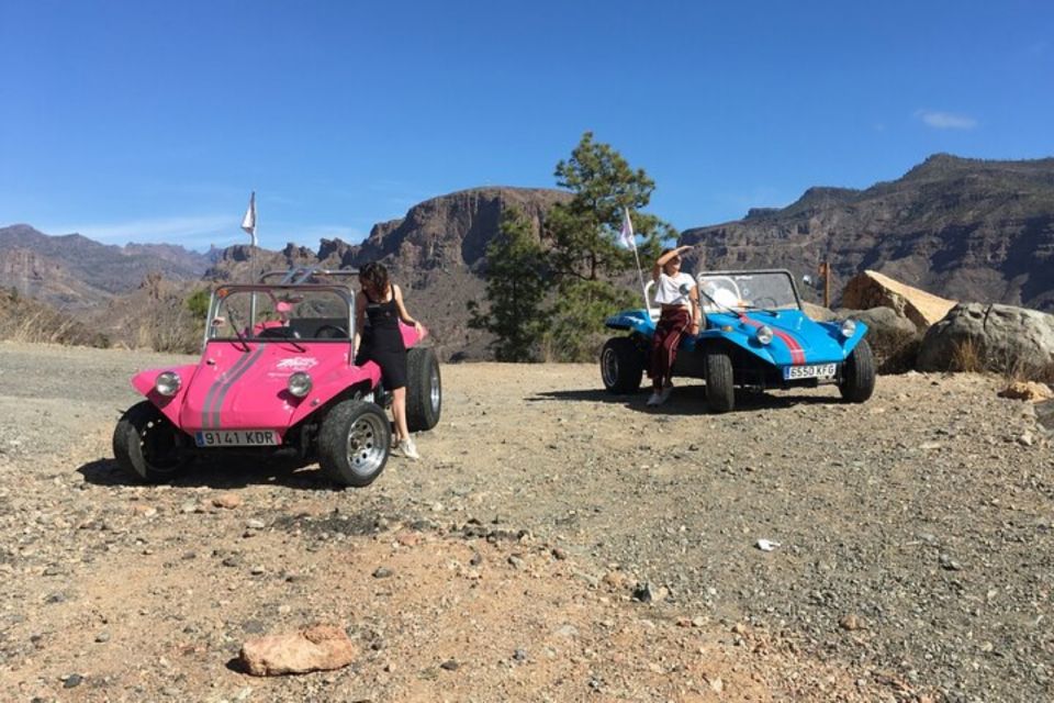 Gran Canary: 70s VW Buggy Tour - Scenic Coastal Routes