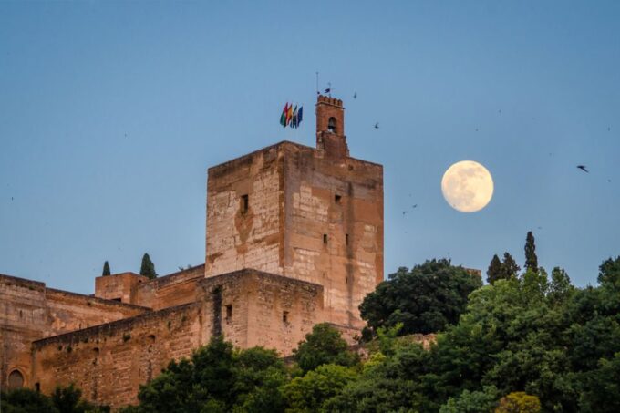 Granada: Alhambra and City Private Tour - Panoramic City Views