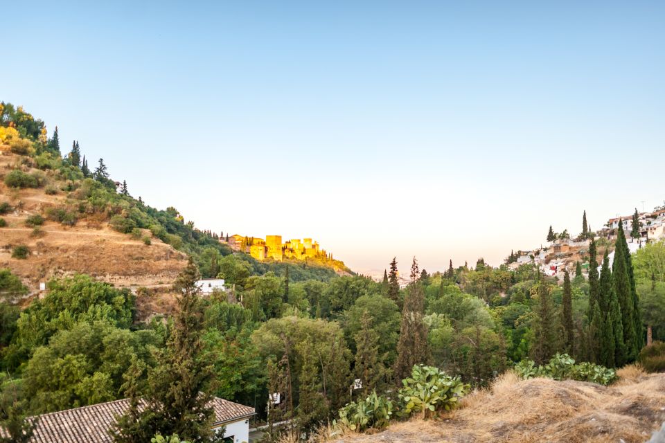 Granada: Alhambra and Generalife Garden Ticket & Guided Tour - Accessibility Options