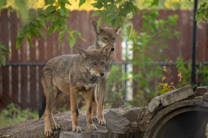 Great Plains Zoo - Location and Directions