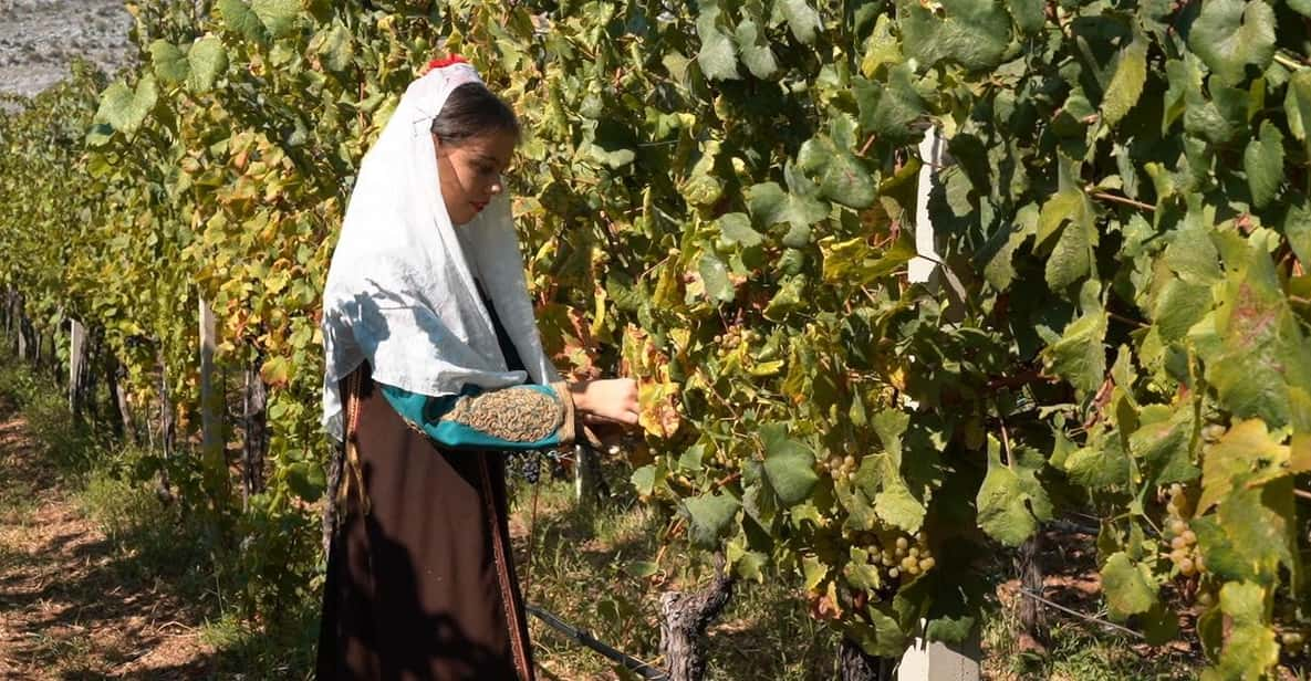 Great Winery Tour From Montenegro: 3 Countries in One Day - Crossing International Borders