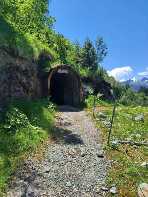 Grindelwalds Captivating Hike to Glacier Canyon - Tour Pricing and Duration